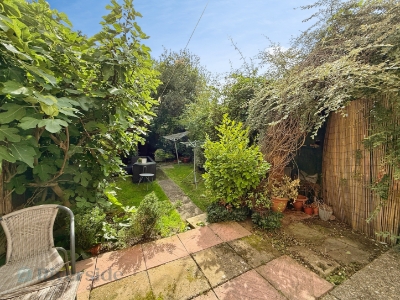 Picture 5